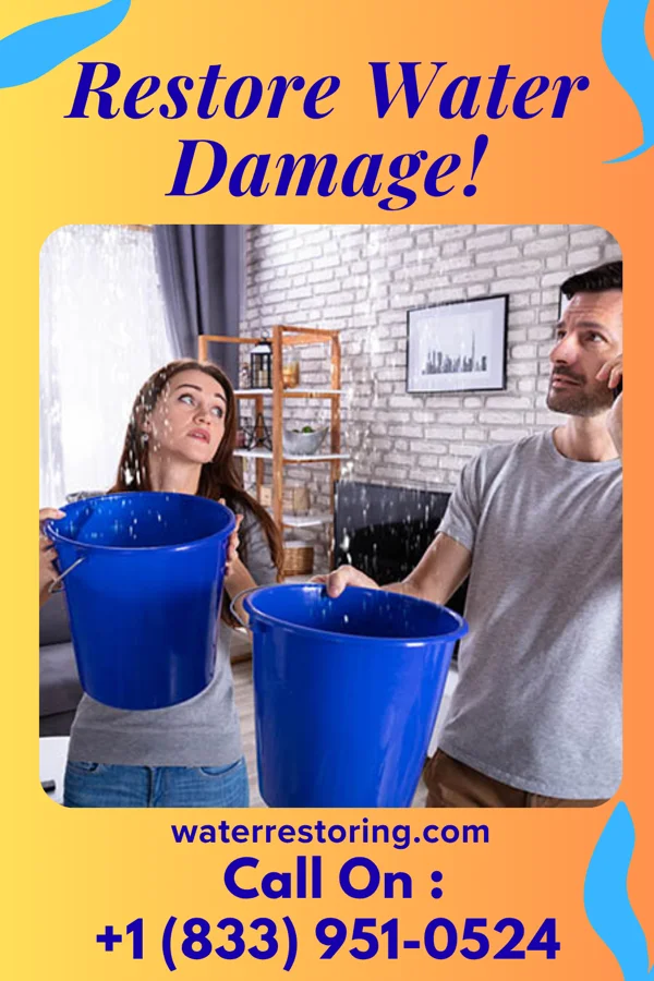 water restoration Peak Recovery Group Lincoln