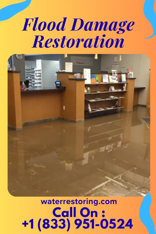 Flood Damage Restoration in Lincoln, IL