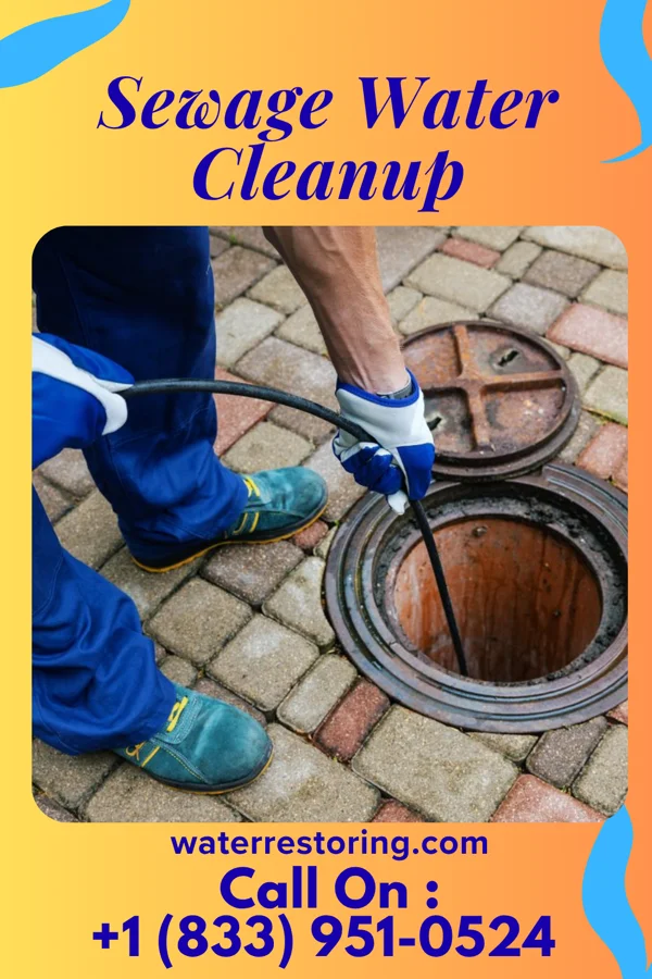Sewage Water Cleanup in Lincoln, IL